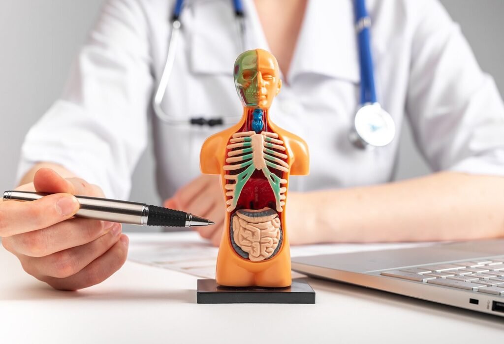 What Patients Should Know About Internal Medicine