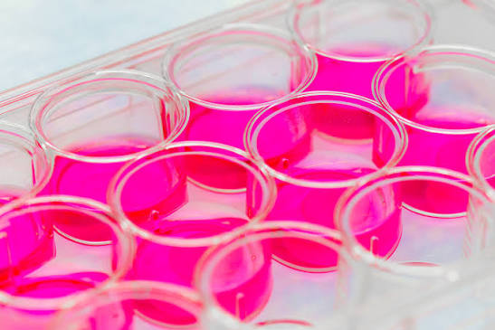 What to Know About Regenerative Medicine